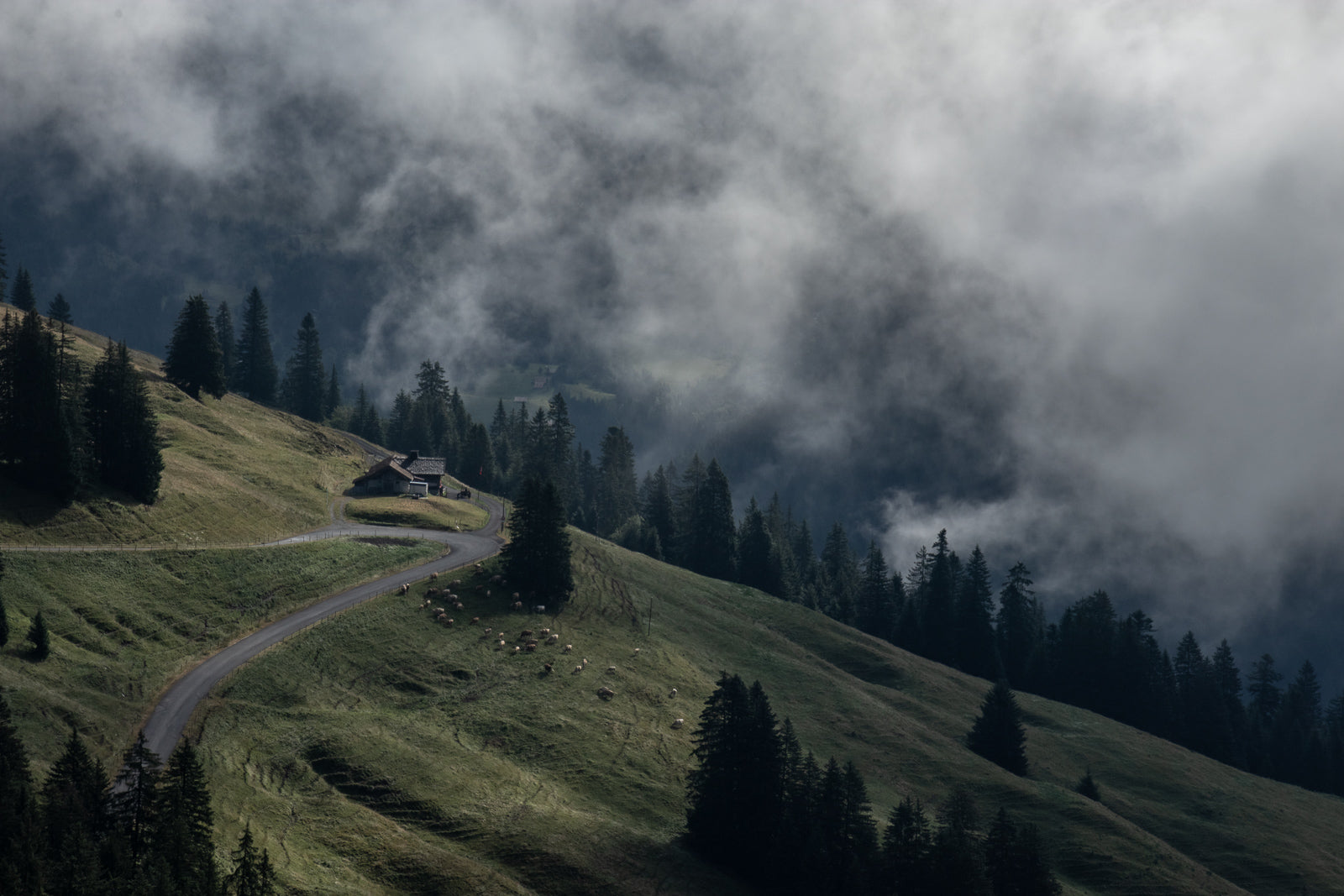 Band of Climbers Partners with the Tour de Stations for the 2020 Edition