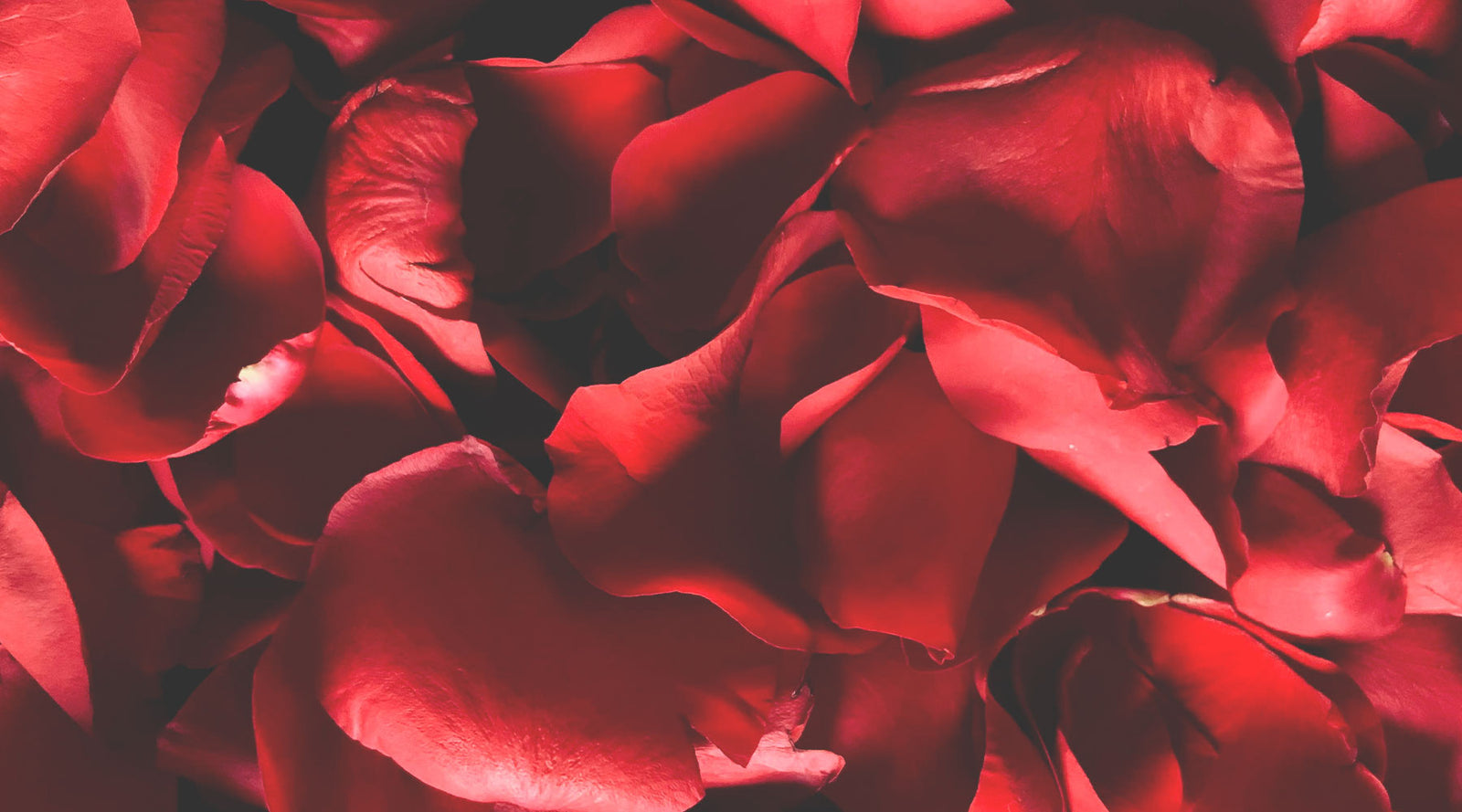 Cycling Valentines Cards