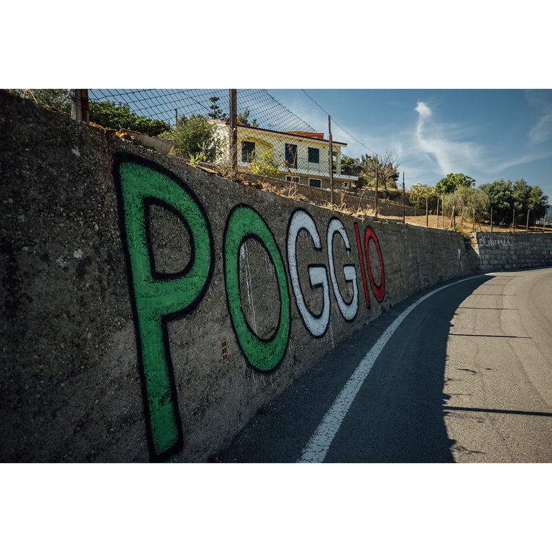 The Poggio